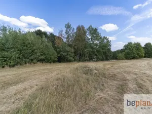 Prodej pozemku pro bydlení, Merklín, 1038 m2