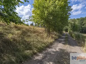 Prodej pozemku pro bydlení, Merklín, 1038 m2