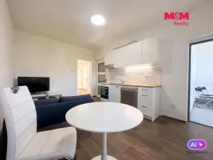 Prodej bytu 2+kk, Ústí nad Labem - Střekov, Purkyňova, 48 m2