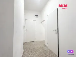 Prodej bytu 2+kk, Ústí nad Labem - Střekov, Purkyňova, 48 m2