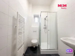 Prodej bytu 2+kk, Ústí nad Labem - Střekov, Purkyňova, 48 m2