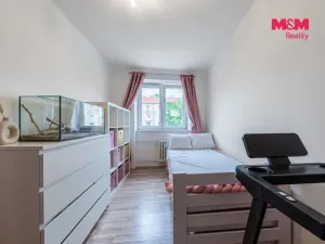 Prodej bytu 2+1, Ostrov, Luční, 57 m2