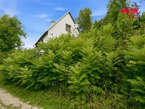 Prodej chaty, Velké Losiny - Žárová, 85 m2