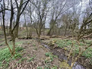 Prodej pozemku, Chotěboř - Počátky, 463 m2
