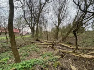 Prodej pozemku, Chotěboř - Počátky, 463 m2