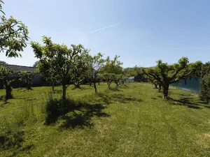 Prodej rodinného domu, Dašice, Nábřeží, 120 m2