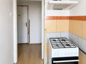 Prodej bytu 1+1, Louny, St. K. Neumanna, 26 m2