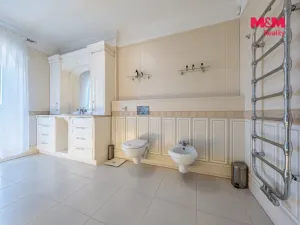 Prodej obchodního prostoru, Šestajovice, U Váhy, 356 m2