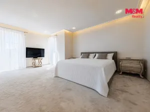 Prodej obchodního prostoru, Šestajovice, U Váhy, 356 m2