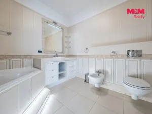 Prodej obchodního prostoru, Šestajovice, U Váhy, 356 m2