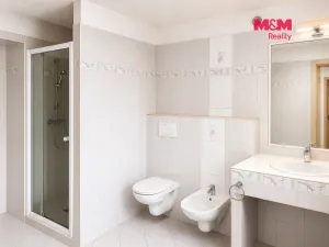 Prodej rodinného domu, Loučka, 313 m2