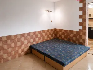 Prodej rodinného domu, Loučka, 313 m2