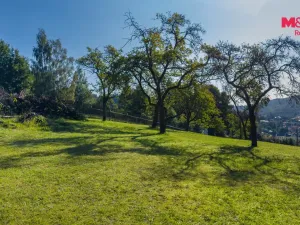 Prodej pozemku pro bydlení, Dolní Poustevna, Na Kopci, 1869 m2