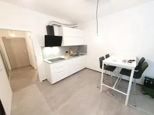 Pronájem bytu 1+kk, Praha - Vysočany, Pod Harfou, 45 m2