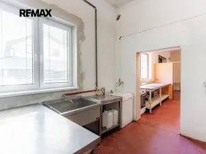 Prodej vícegeneračního domu, Šenov u Nového Jičína, Jaselská, 545 m2