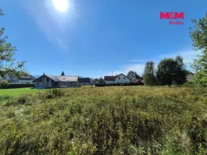 Prodej pozemku pro bydlení, Volary, Finské domky, 8083 m2
