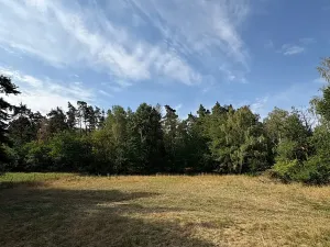 Prodej pozemku pro bydlení, Vlčatín, 56720 m2