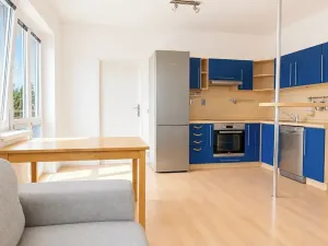 Pronájem bytu 2+kk, Brno, Kociánka, 45 m2