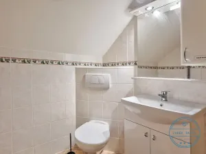 Prodej rodinného domu, Velké Bílovice, Morávky, 245 m2