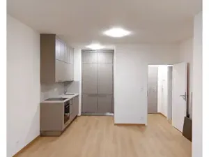 Pronájem bytu 2+kk, Praha - Vysočany, Gerstelova, 48 m2