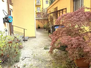 Prodej bytu 2+kk, Praha - Žižkov, Buchovcova, 55 m2