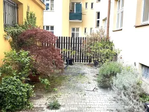 Prodej bytu 2+kk, Praha - Žižkov, Buchovcova, 55 m2