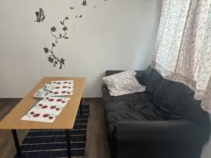 Pronájem pokoje, Praha, 12 m2