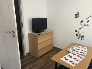 Pronájem pokoje, Praha, 12 m2