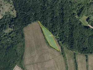 Prodej sadu/vinice, Kobylí, 23542 m2