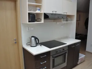 Pronájem bytu 3+kk, Brno, Ptašínského, 91 m2