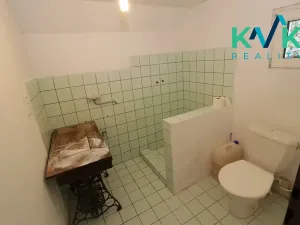 Prodej chaty, Kyselka, 90 m2