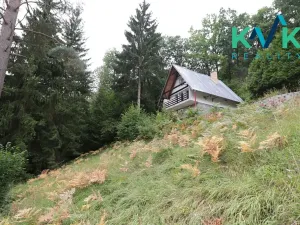 Prodej chaty, Kyselka, 90 m2