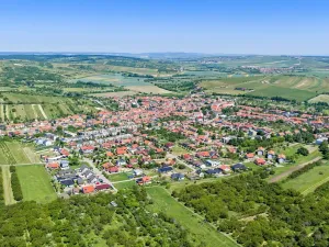 Prodej rodinného domu, Velké Pavlovice, Ostrovecká, 200 m2