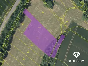 Prodej podílu pole, Oleška, 1341 m2