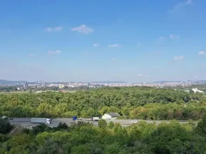 Prodej zahrady, Brno, 319 m2