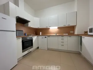 Pronájem bytu 2+1, Brno, Gorkého, 68 m2