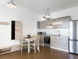 Pronájem bytu 1+kk, Praha - Žižkov, Olšanská, 35 m2