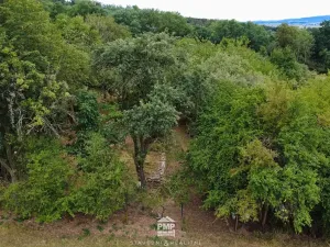 Prodej zahrady, Jaroměřice, 3634 m2