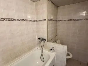 Prodej bytu 1+1, Děčín, Oblouková, 35 m2