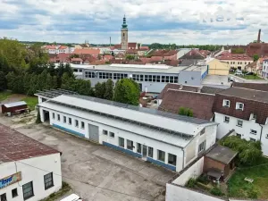 Prodej obchodního prostoru, Soběslav, Wilsonova, 490 m2