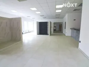 Prodej obchodního prostoru, Soběslav, Wilsonova, 490 m2