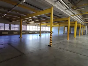 Pronájem výrobních prostor, Strakonice - Strakonice II, Tovární, 4035 m2