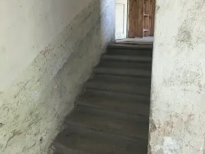 Prodej podílu vícegeneračního domu, Olšany, 831 m2