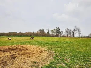 Prodej rodinného domu, Předslavice, 150 m2