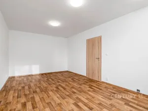 Pronájem bytu 1+1, Děčín, Růžová, 35 m2