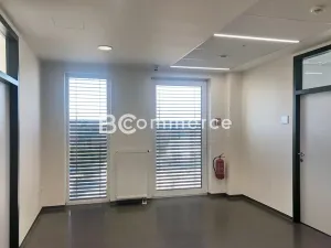 Pronájem kanceláře, Brno, 21 m2