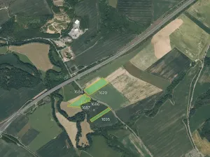 Prodej louky, Starý Plzenec, 33310 m2