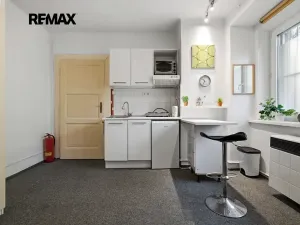 Prodej bytu 1+kk, Praha - Podolí, Na dolinách, 24 m2