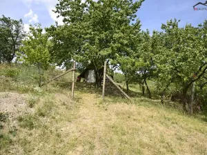 Prodej sadu/vinice, Bzenec, 2460 m2