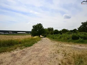 Prodej sadu/vinice, Bzenec, 2460 m2